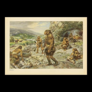 Gran lámina de 1960: CAMPAMENTO NEANDERTAL - Lámina del hombre prehistórico - Paleoarte - Lámina de la evolución humana - Arte neandertal - 13,5 x 9,75 pulgadas