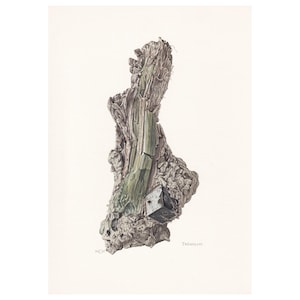 1968 TREMOLITE Print - Mineral Wall Art Gift - Mineralogy Decor - Precious Stones - Vintage Rock Art - Element - 7,5 x 10,6 cala