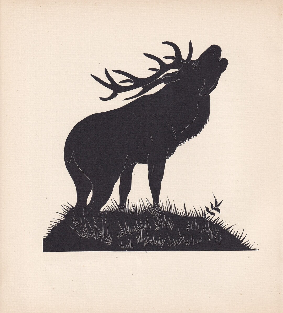 1929 RED DEER Print Wood Engraving Red Deer Wall Art Etsy