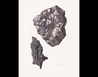 May include: A vintage-style scientific illustration featuring two dark mineral specimens. The larger specimen displays a faceted, crystalline structure, while the smaller one has a textured, botryoidal form. The text Goethite is printed below.