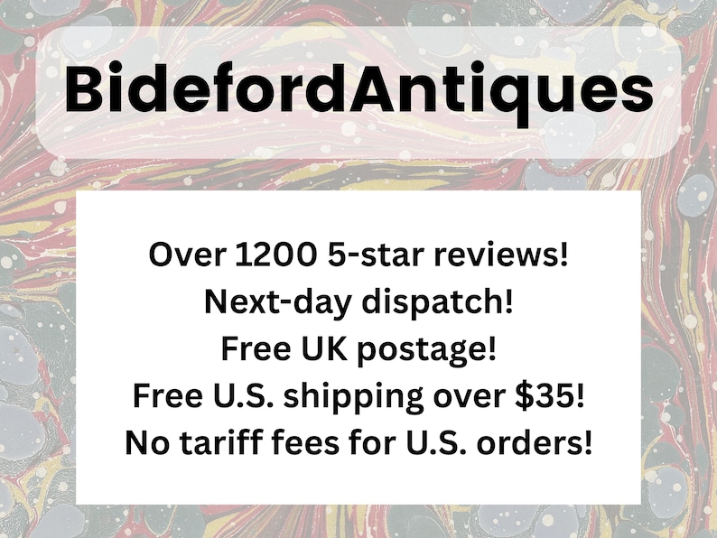 1902 LUNGFISH (CERATODUS) Druck - Antiker ausgestorbener Tierdruck - Paläoart - Prähistorische Wandkunst - 121 Jahre alt - 26 x 19 cm Bild 5