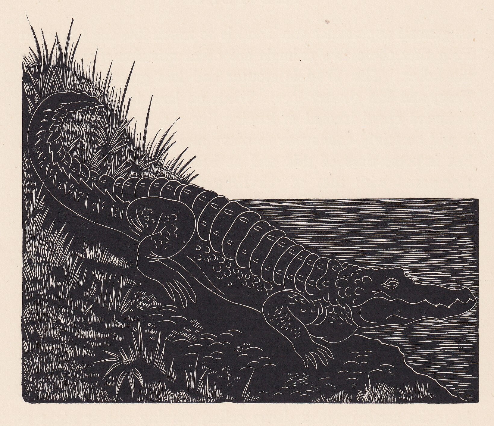 1929 CROCODILE Print Wood Engraving - Crocodile Wall Art - Lizard ...