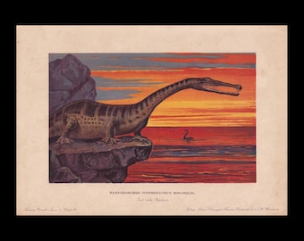 1902 NOTHOSAURUS MIRABILIS Print - Triassic Reptile - Paleoart - Prehistoric Animals Wall Art - Dinosaur - 10.5 x 7.5 Inches