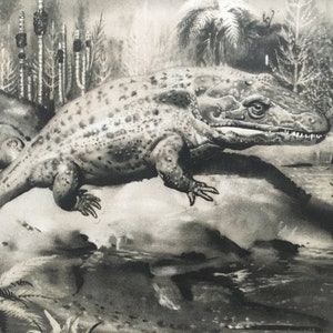 1960 MASTODONSAURUS Print - Prehistoric Animals Print - Paleoart - Paleontology Print - Dinosaur Print - 63 Years Old - 13.5 x 9.75 Inches