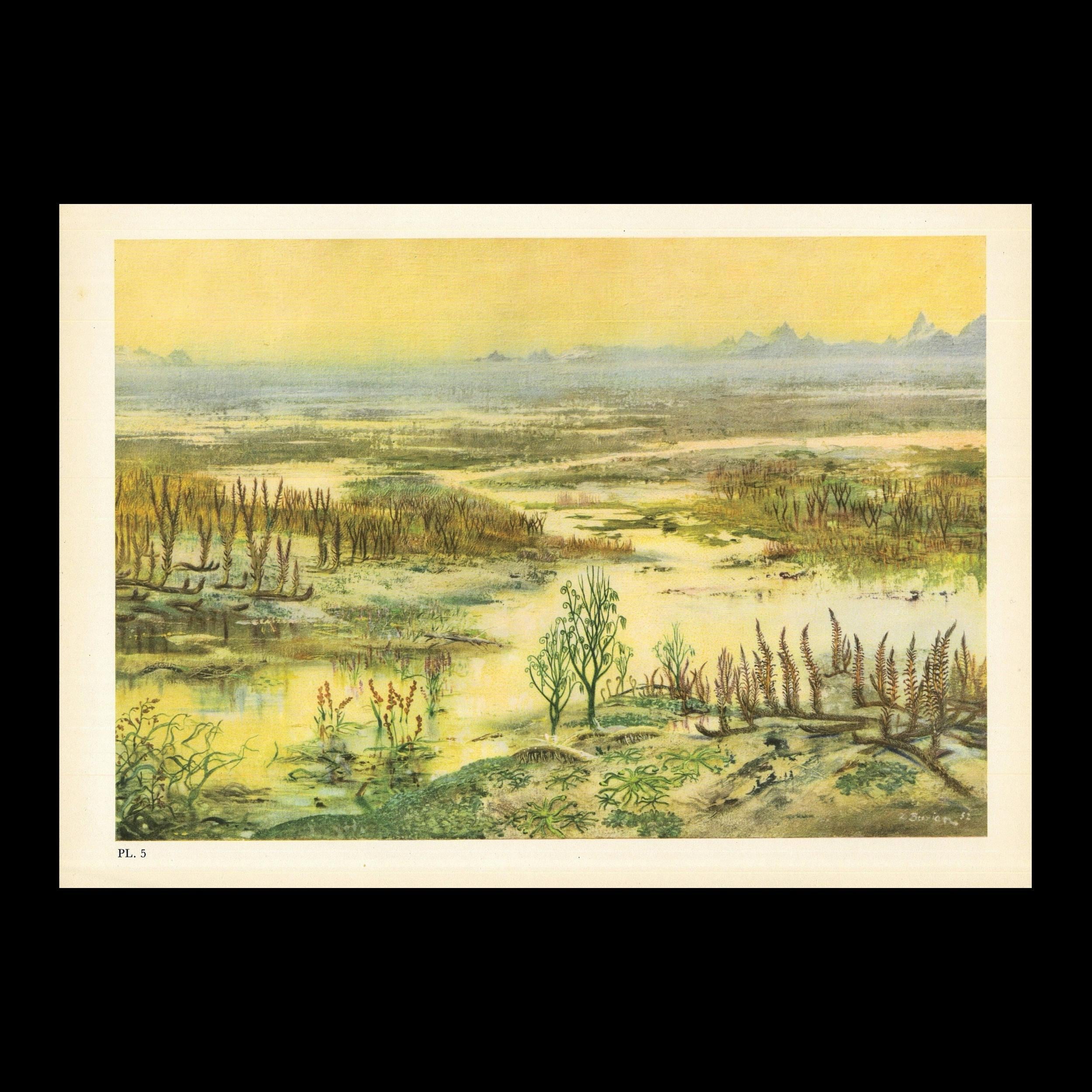 1960 DEVONIAN PERIOD LANDSCAPE Print - Prehistoric Print - Paleoart -  Paleontology Print - Dinosaur Print - 13.5 X 9.75 Inches - Etsy