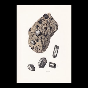May include: An illustration of a rough, gray rock formation with embedded black crystals. Several detached, elongated black crystals are scattered below. The word "Augite" is printed at the bottom, indicating the mineral type.