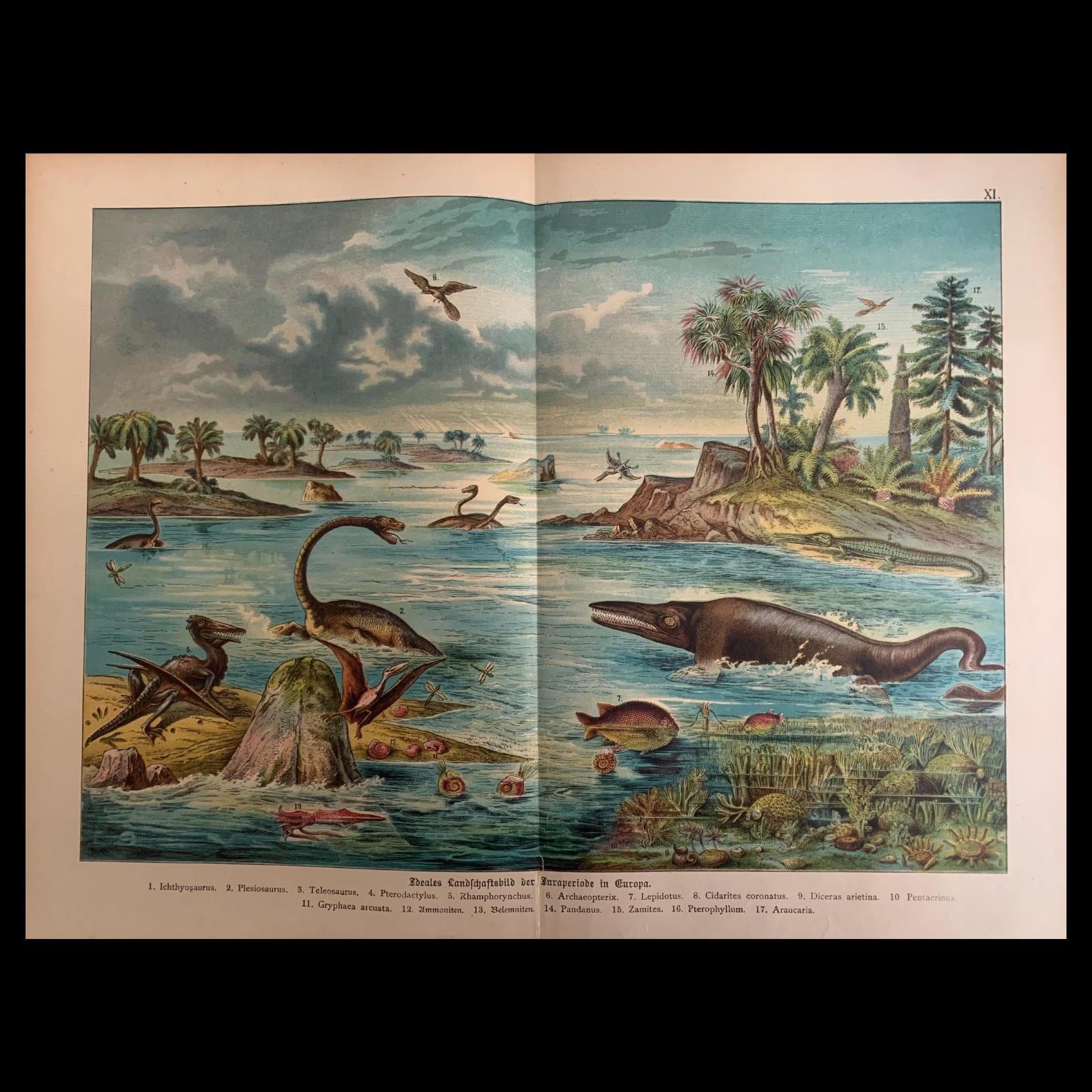 Large 1878 DINOSAUR Print - Jurassic Period - Antique Paleoart