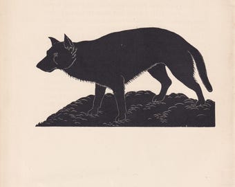 1929年 オオカミの木版画 - オオカミの壁掛けアート - 動物学プリント