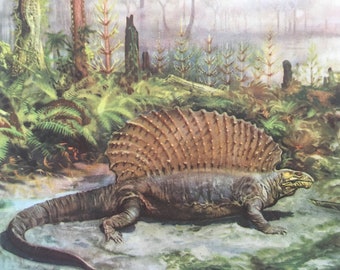 1960 EDAPHOSAURUS Print - Prehistoric Animals Print - Paleoart - Paleontology Print - Dinosaur Print - 63 Years Old - 13.5 x 9.75 Inches