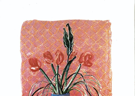 版画 David Hockney Amaryllis in Vase poster Vintage 1994 DAVID HOCKNEY Print - 