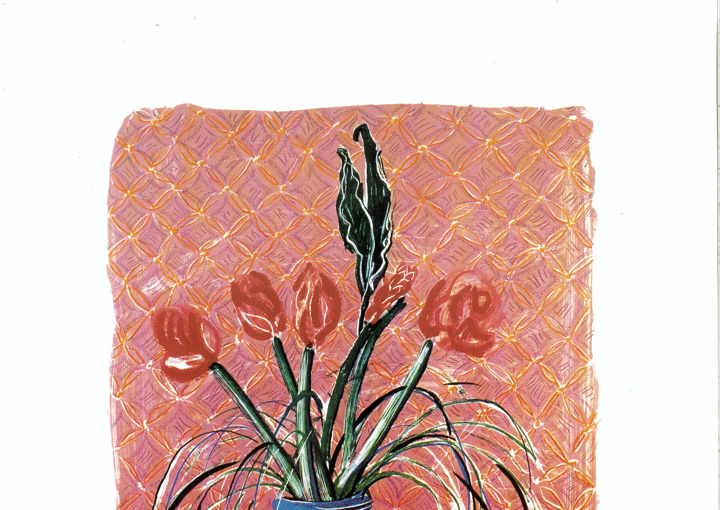 版画 David Hockney Amaryllis in Vase poster Buy Vintage Hockney
