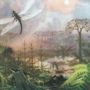 1960 MEGANEURA Print - Prehistoric Animals Print - Paleoart - Paleontology Print - Insect Print - 63 Years Old - 13.5 x 9.75 Inches