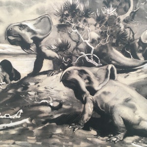 1960 PROTOCERATOPS DINOSAUR Print - Prehistoric Animals Print - Paleoart - Dinosaur Decoration - 63 Years Old - 13.5 x 9.75 Inches