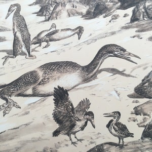 1960 HESPERORNIS Print - Prehistoric Animals Print - Paleoart - Dinosaur Decoration - 63 Years Old - 13.5 x 9.75 Inches