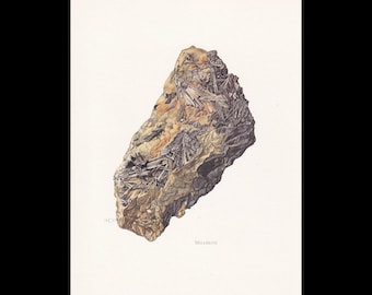 May include: A detailed scientific illustration of a Millerite mineral specimen. The rock features a textured, tan-colored matrix embedded with clusters of dark, needle-like metallic crystals. The word Millerite is printed below the specimen.
