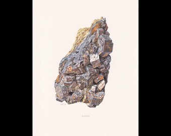 May include: A scientific illustration of a galena mineral specimen featuring metallic, cubic, dark gray crystals clustered together with patches of textured, light tan mineral matrix. The word Galène is printed below the illustration.