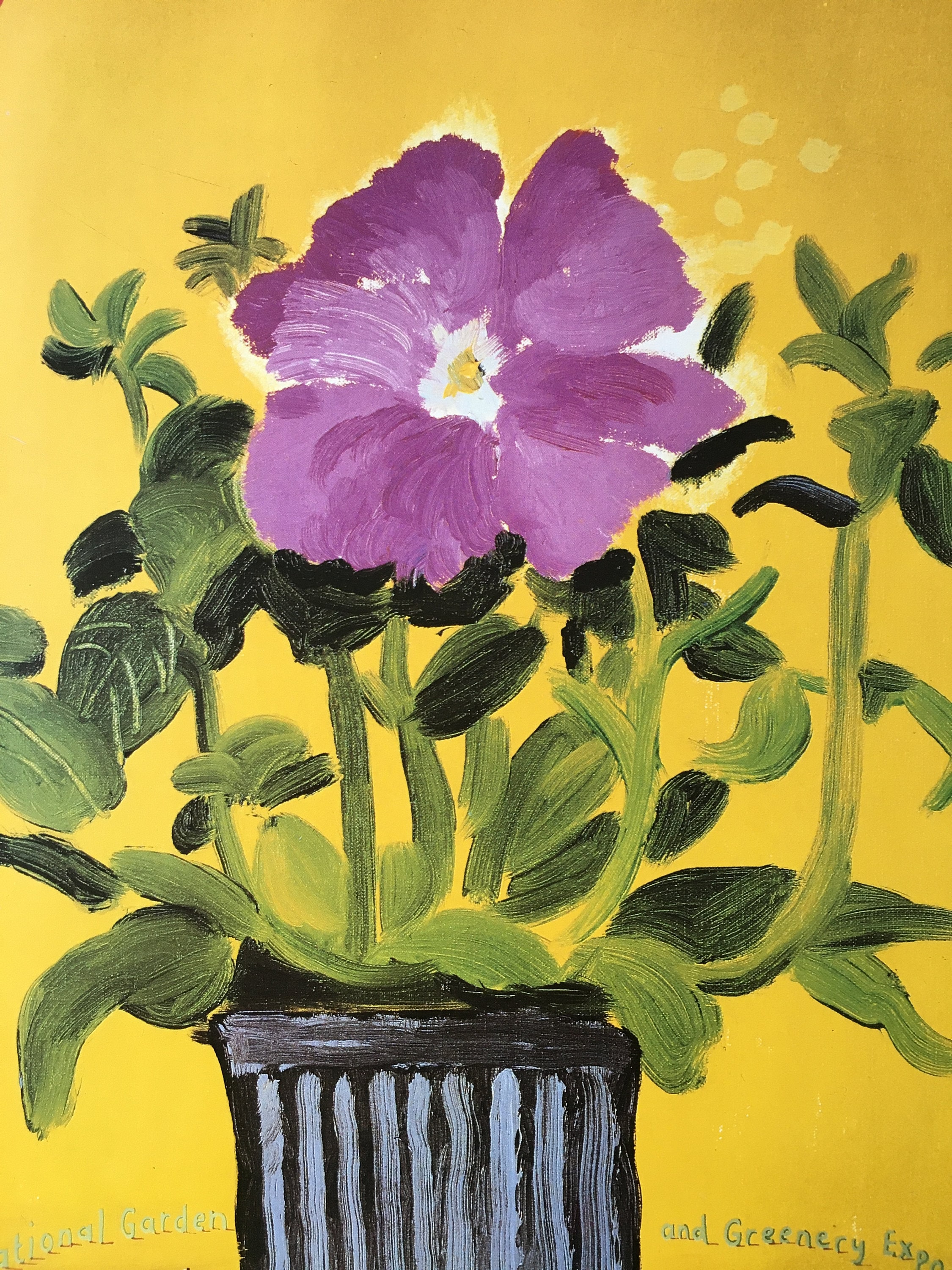 David Hockney Amaryllis in Vase - Etsy Canada