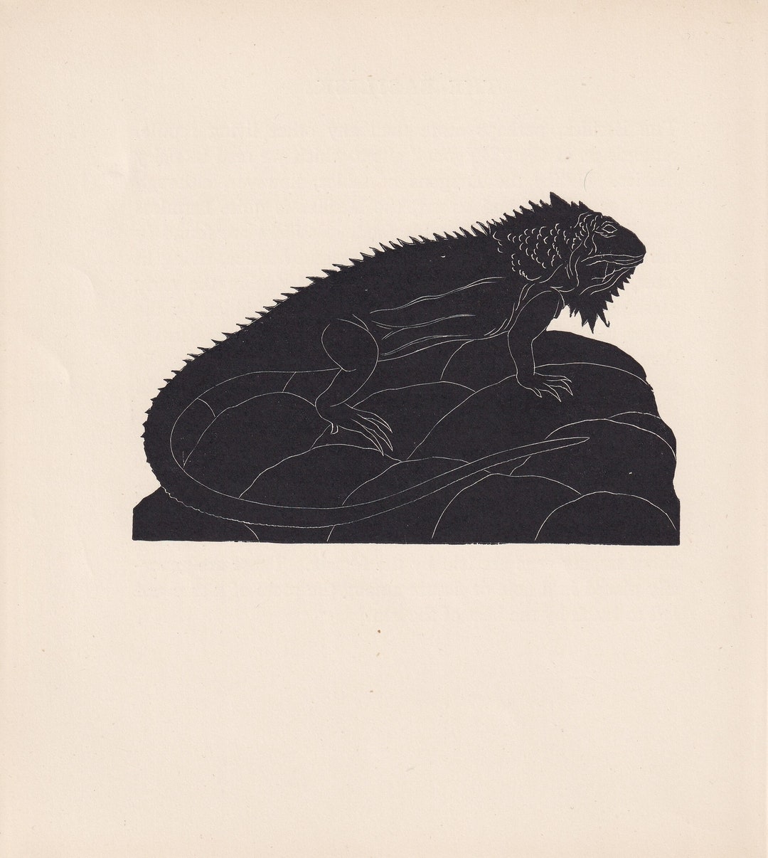 1929 IGUANA Print Wood Engraving - Lizard Wall Art - Lizard Wood ...