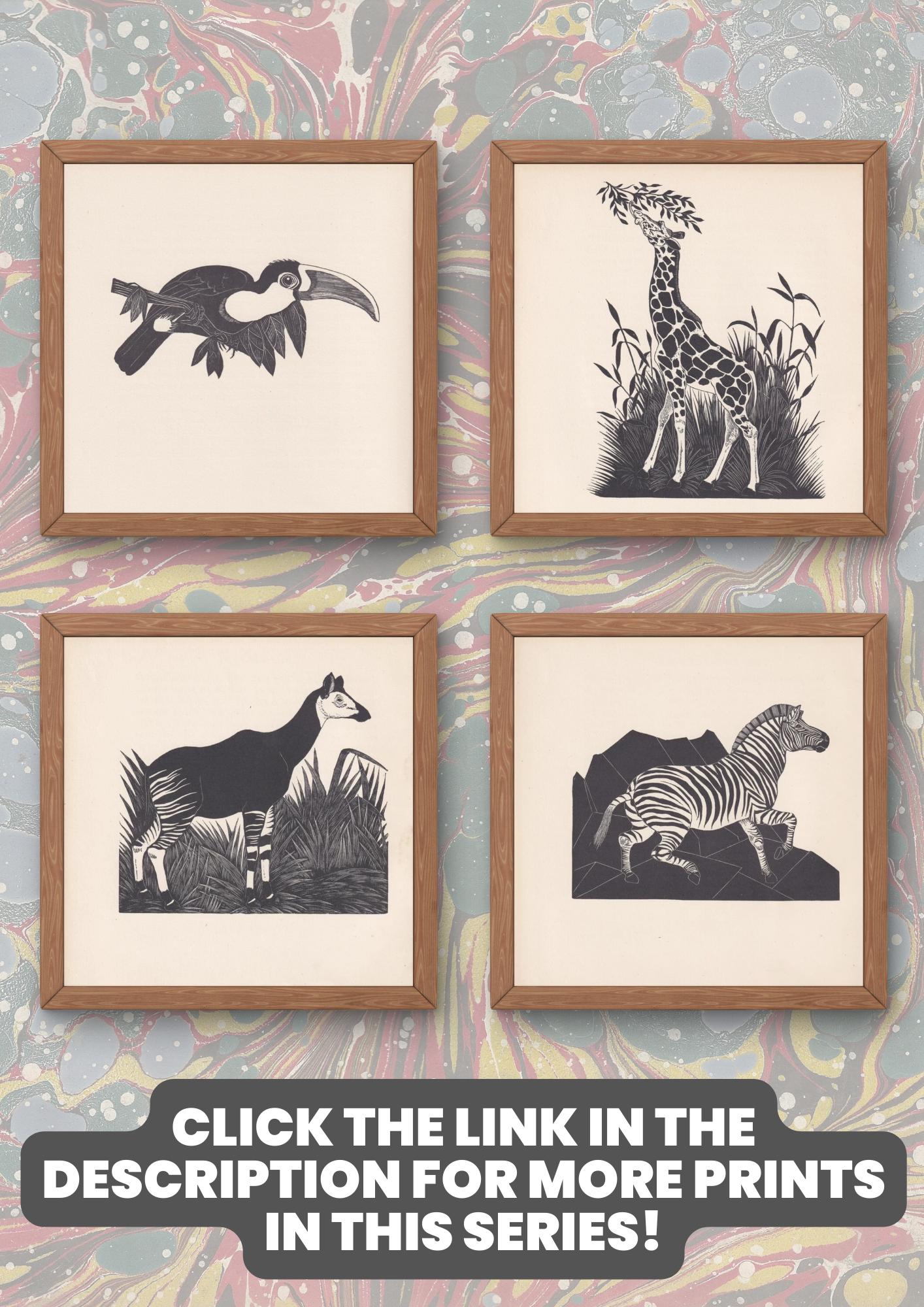 1929年 オオカミの版画 木版画 - オオカミの壁画 - 動物学版画