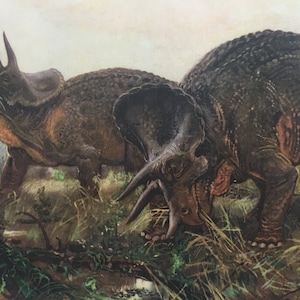 1960 TRICERATOPS DINOSAUR Print - Prehistoric Animals Print - Paleoart - Dinosaur Decoration - 63 Years Old - 13.5 x 9.75 Inches