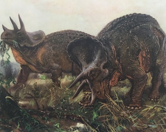 1960 TRICERATOPS DINOSAUR Print - Prehistoric Animals Print - Paleoart - Dinosaur Decoration - 63 Years Old - 13.5 x 9.75 Inches