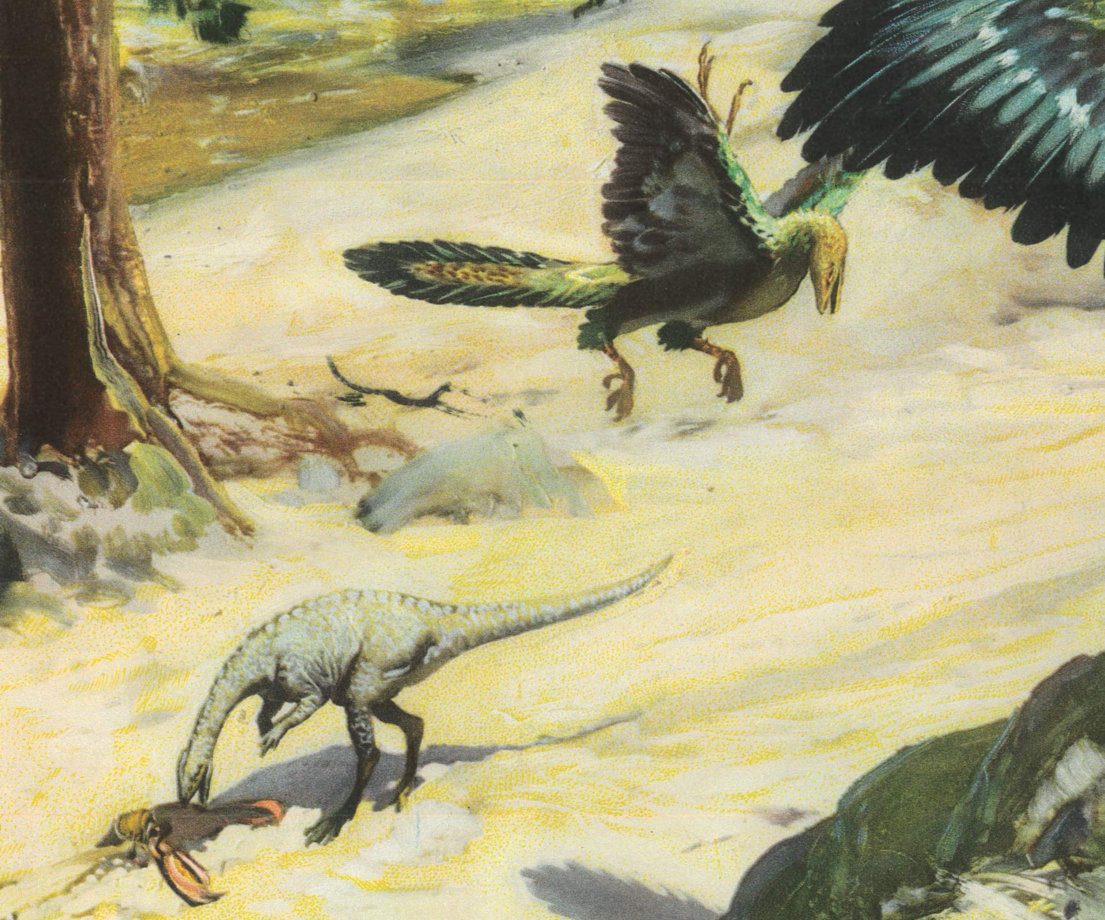 1960 ARCHAEOPTERYX DINOSAUR Print - Prehistoric Animals Print