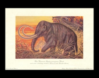 1902 MAMMOTH Print - Megafauna Print - Paleoart - Mammoth Wall Art - Prehistoric Print - 10.5 x 7.5 Inches