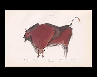 1934 CAVE ART Print - Altamira Bison Print - Vintage Print - Paleoart - Caveman - Human History - 9.15 x 6 Inches