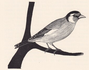 1929年 ゴールドフィンチ鳥プリント 木版画 - 鳥の壁アート - 鳥の木