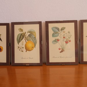 Kitchen Vintage Posters Vintage prints with fruits Vintage framed posters Set wall décor Home décor Victorian botany print