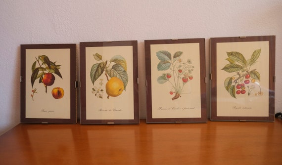 Kitchen Vintage Posters Vintage prints with fruits Vintage framed posters Set wall décor Home décor Victorian botany print