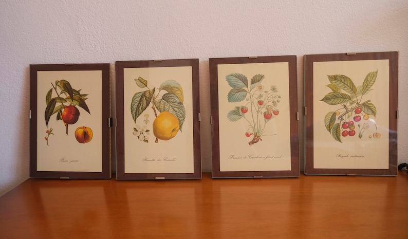 Op de afbeelding: Vier ingelijste botanische prenten met illustraties van fruit. De prenten zijn in bruine lijsten met een cr&egrave;mekleurige achtergrond. De prenten tonen een perzik, een appel, aardbeien en kersen.