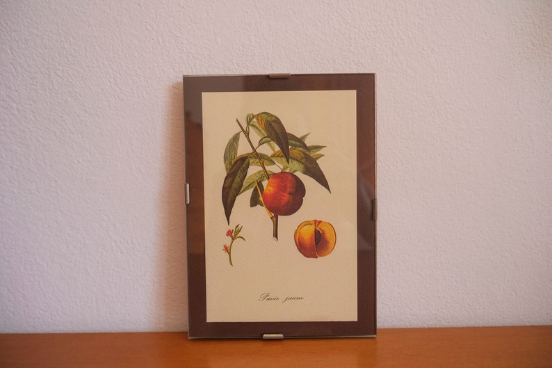 Op de afbeelding: Een ingelijste botanische illustratie van een perzikboomtak met bladeren, een perzik en een halve perzik. De tekst "P&ecirc;che jaune" is onder de afbeelding gedrukt.
