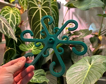 Plant holder "Octopus" in 20 cm diameter (set of 2)