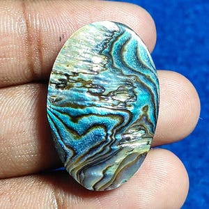 Cabochon di abalone naturale, pietra preziosa arcobaleno, cabochon di abalone naturale per la creazione di gioielli fai da te, pietra preziosa sciolta di abalone, 33 carati. GS-974