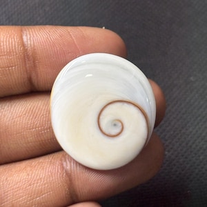 May include: A circular Shiva eye shell cabochon featuring a smooth, polished white surface with a natural, spiralling brown pattern centred on the front. The shell has a glossy finish and a rounded, dome-like shape, displaying organic textures.