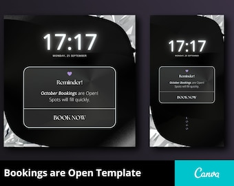 Editable Book Now Flyer, DIY Appointments Available Template, Bookings are Open, Premade Flyer Template, Reminder Book Now Canva Template