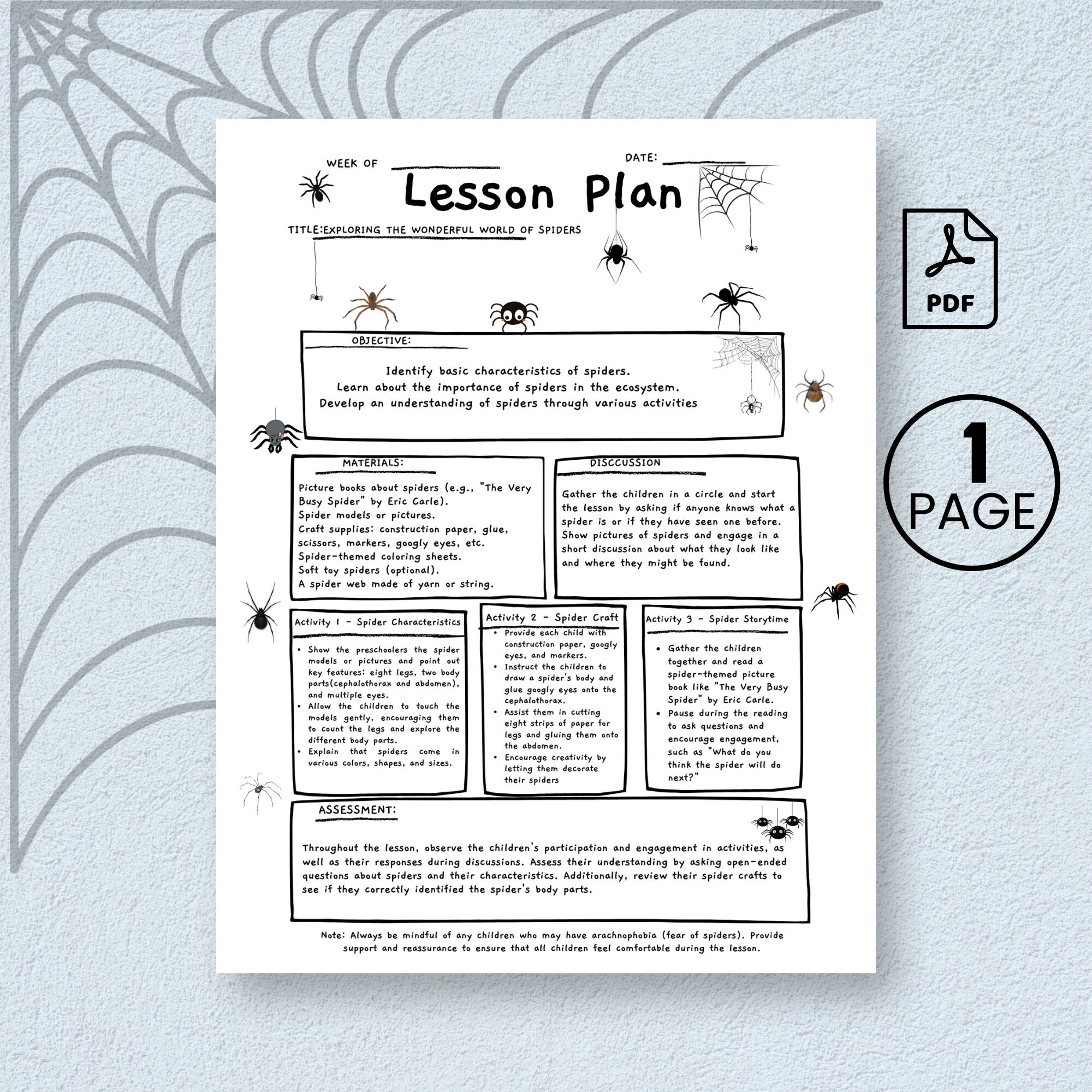Lesson Plan Spider Exploration for Children - Etsy