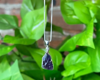 May include: A silver necklace with a pendant featuring a raw, dark purple amethyst gemstone. The pendant is set in a silver bezel and hangs from a delicate silver chain. The background is blurred green foliage.