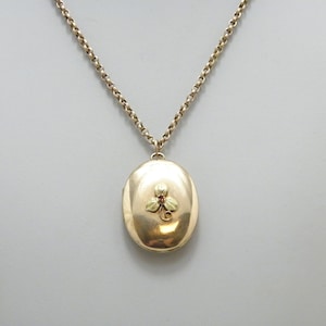 Antique 9ct Gold Huge Ruby Locket Pendant Necklace 18 Inch Belcher Chain c1880