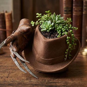 Könnte beinhalten: Ein brauner Filzhut, der als Pflanzgefäß dient, bepflanzt mit grünen Sukkulenten und einer Erbsenpflanze. An der Seite des Hutes befindet sich ein brauner Lederhandschuh mit vier langen, gebogenen, metallisch silberfarbenen Klingen.