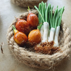 Fridge magnet, onion skin, mini onion skin, miniatures, dollhouse accessories, gifts, handmade kitchen decorations, mini decoration