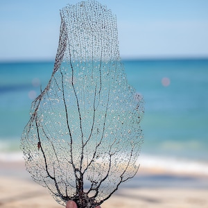 Leaf veins at Beach | Seaside scenary  | Digital Download | Printable File | Wall Art