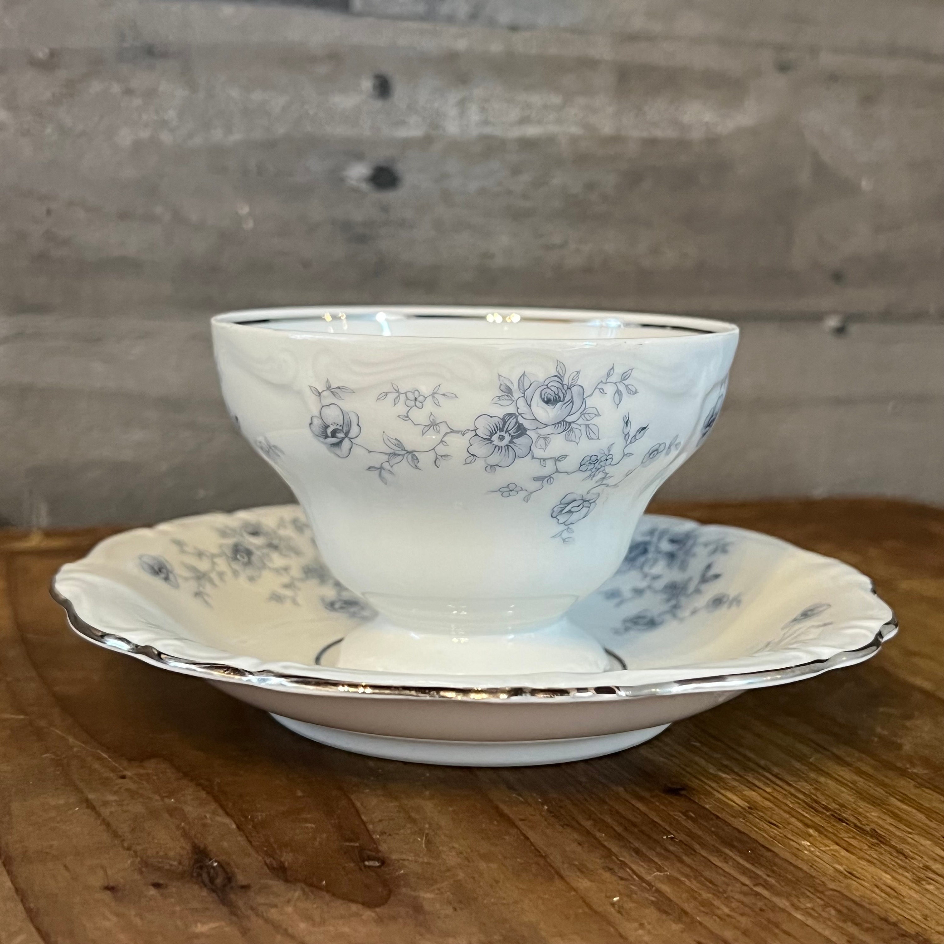 Johann Haviland Blue Garland Bavaria Germany Footed Teacup and