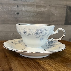 Johann Haviland Blue Garland Bavaria Germany footed teacup and saucer