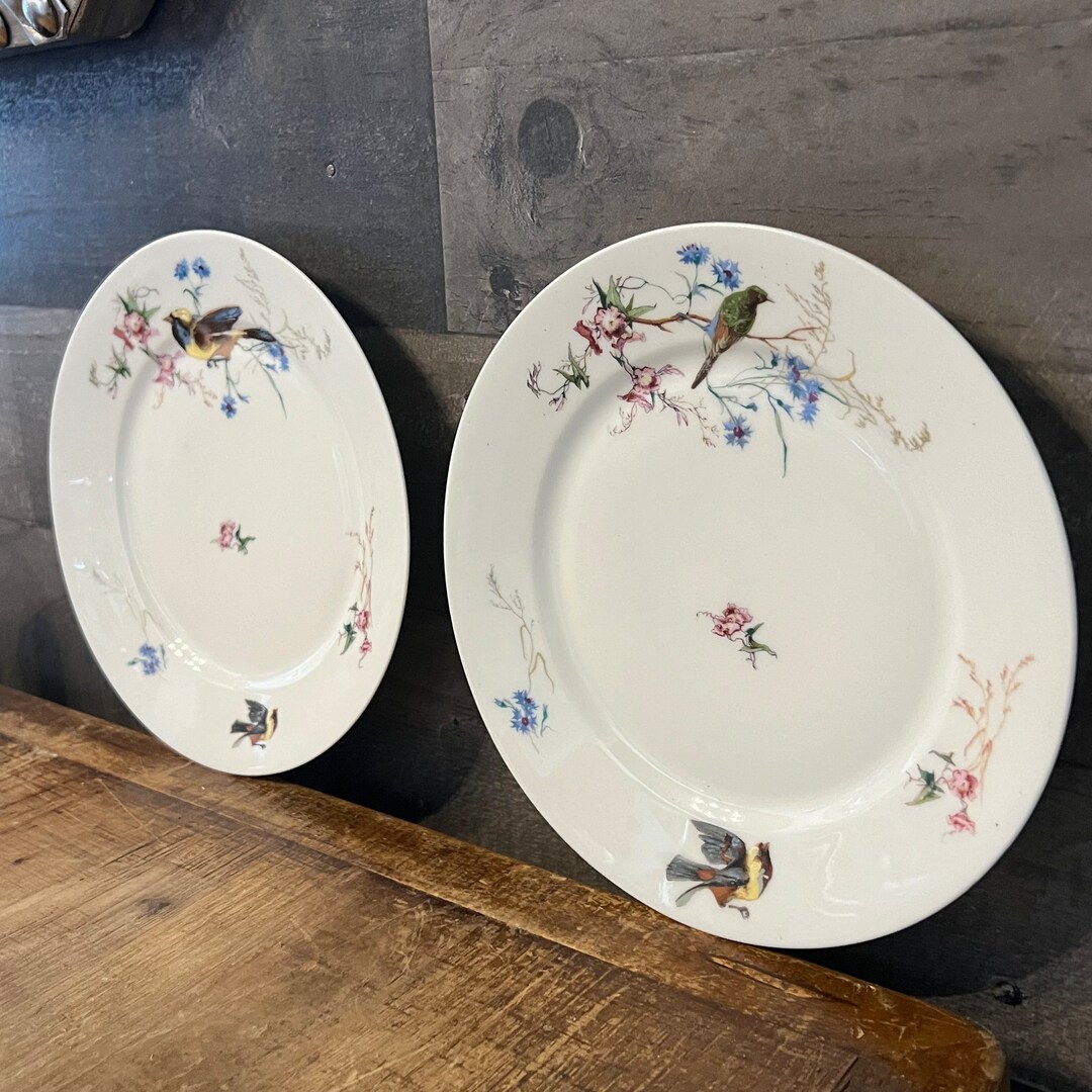 2 Vintage Haviland & Co Limoges Bird Plates Etsy