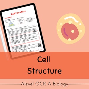 OCR A A-level Biology Cell Structure Revision Notes