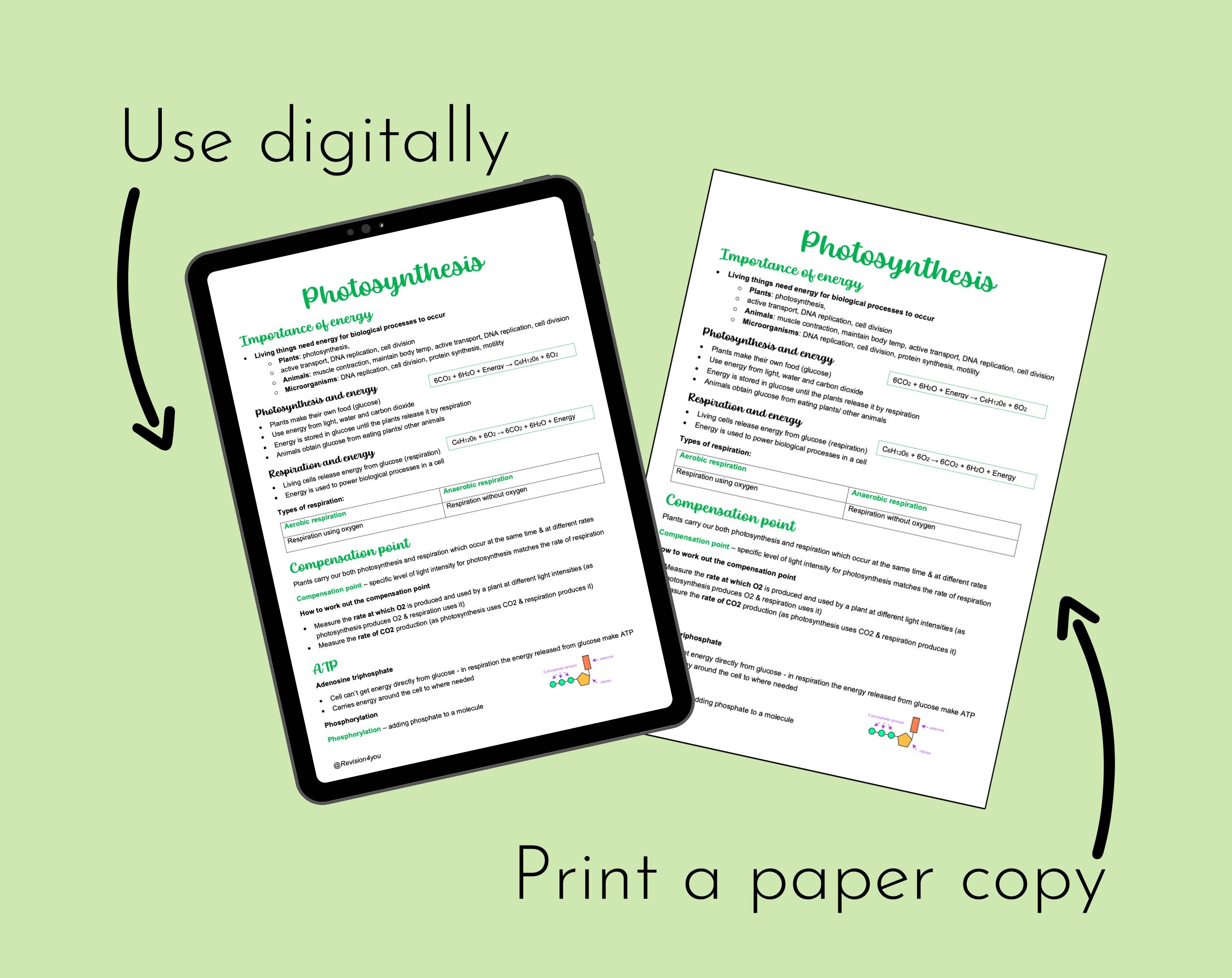 OCR A A-level Biology Photosynthesis Revision Notes - Etsy