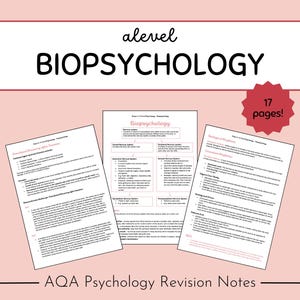 AQA A-Level Psychology Revision Notes: Biopsychology