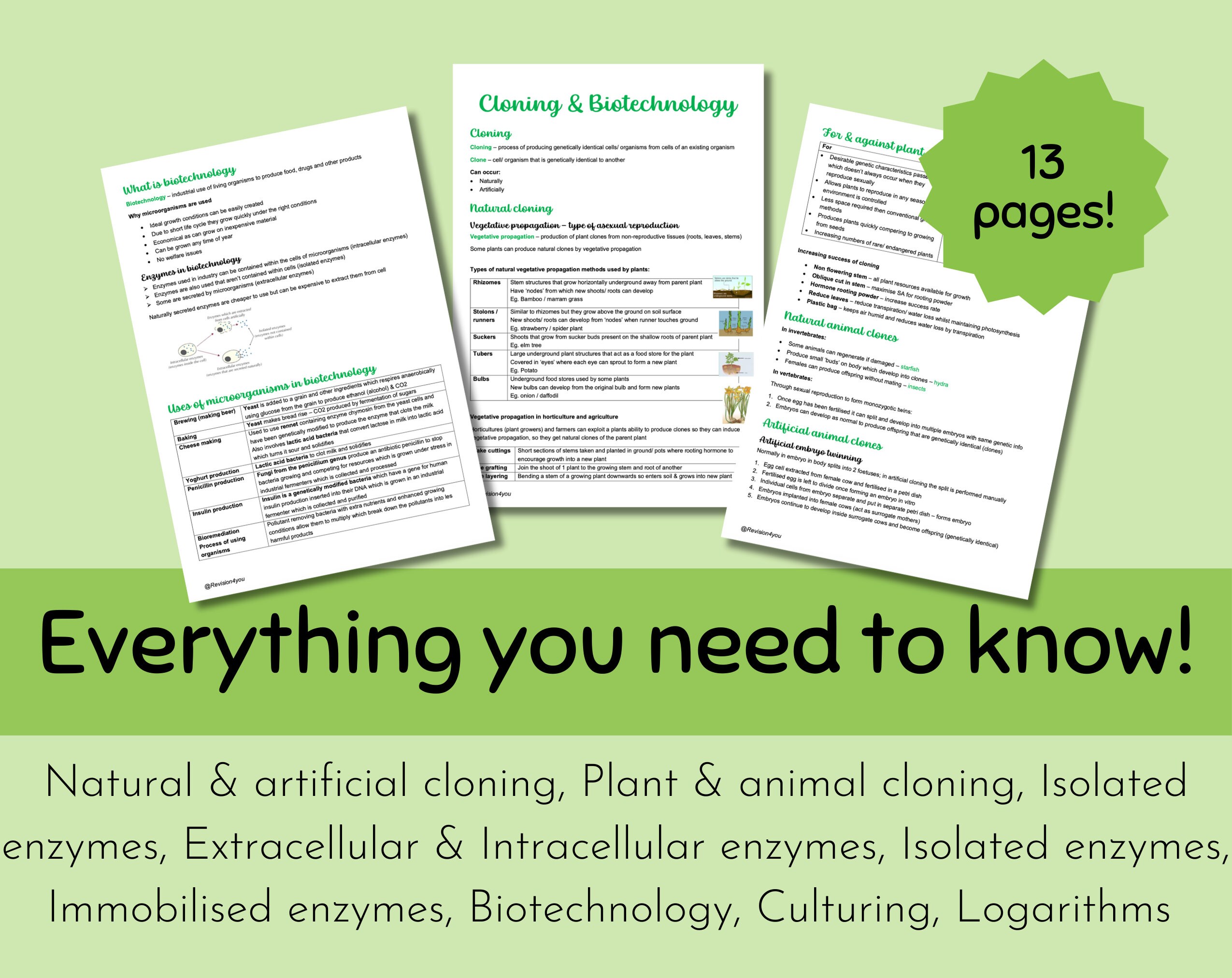 OCR A A-level Biology Cloning & Biotechnology Revision Notes - Etsy UK